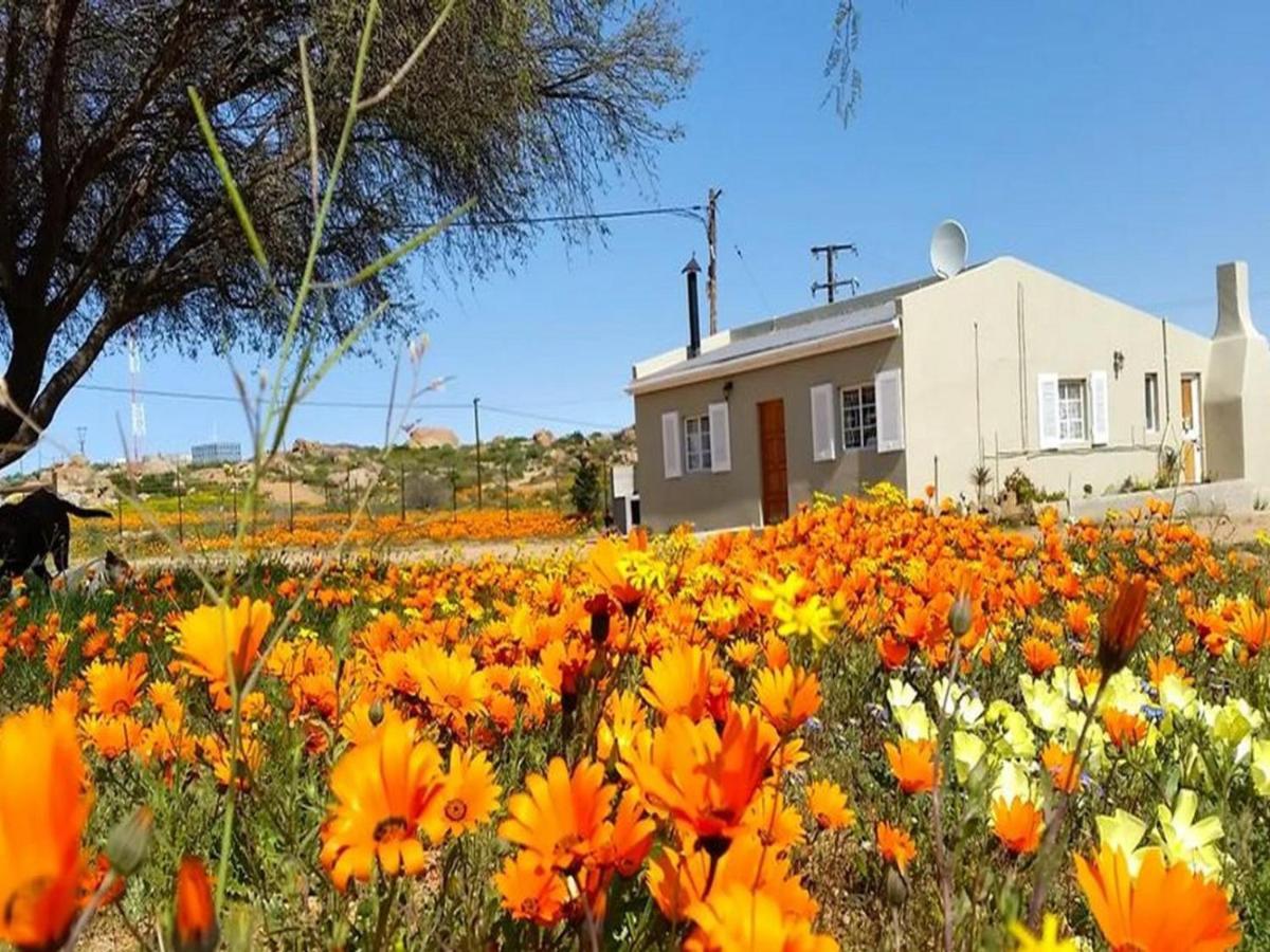 Kamieskroon Cosy Cottage ภายนอก รูปภาพ